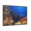 88289-85.jpg Ocean Life Framed Canvas