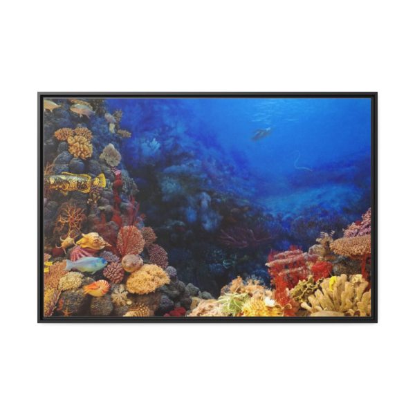 88289-86.jpg Ocean Life Framed Canvas