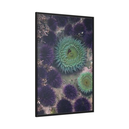 Underwater World Framed Canvas