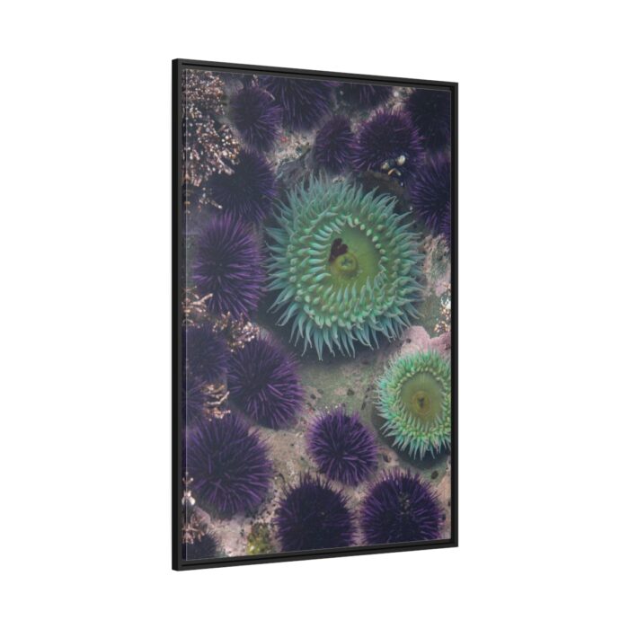 Underwater World Framed Canvas - Image 1