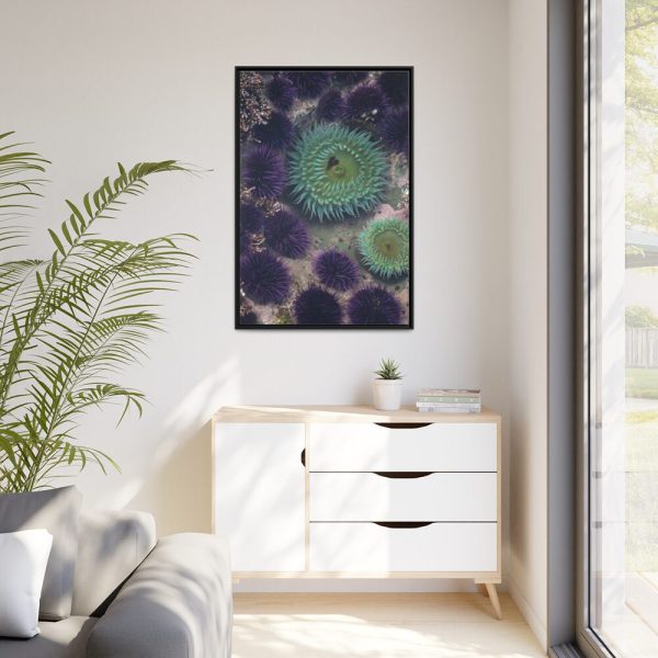 88299-13.jpg Underwater World Framed Canvas