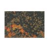 91638-1.jpg Autumnal Woods Drone View Standard Canvas