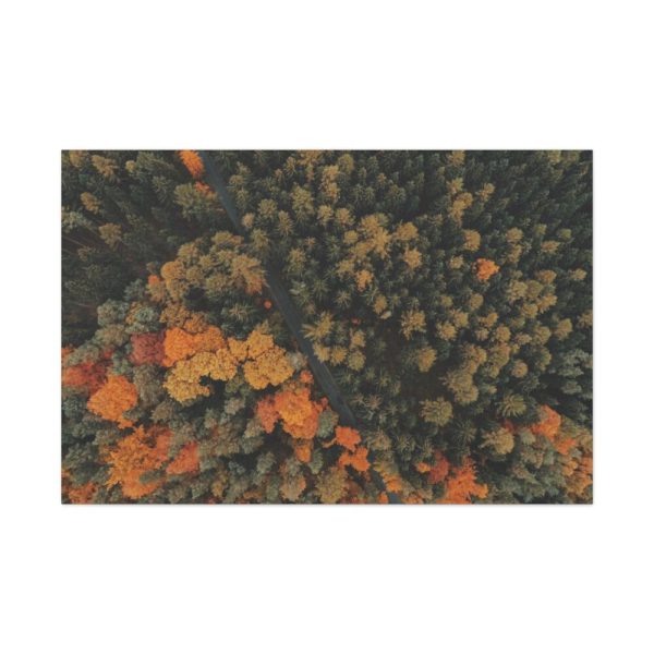 91638-1.jpg Autumnal Woods Drone View Standard Canvas