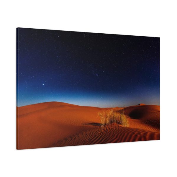 Desert During Nighttime Standard Canvas