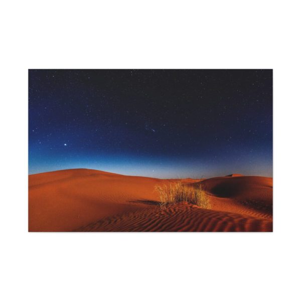 Desert During Nighttime Standard Canvas