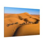 Gold Sand Dunes Standard Canvas