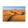 91638-16.jpg Gold Sand Dunes Standard Canvas