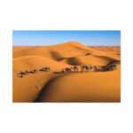 Gold Sand Dunes Standard Canvas - Image 2