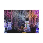 Christmas Lights Standard Canvas - Image 2