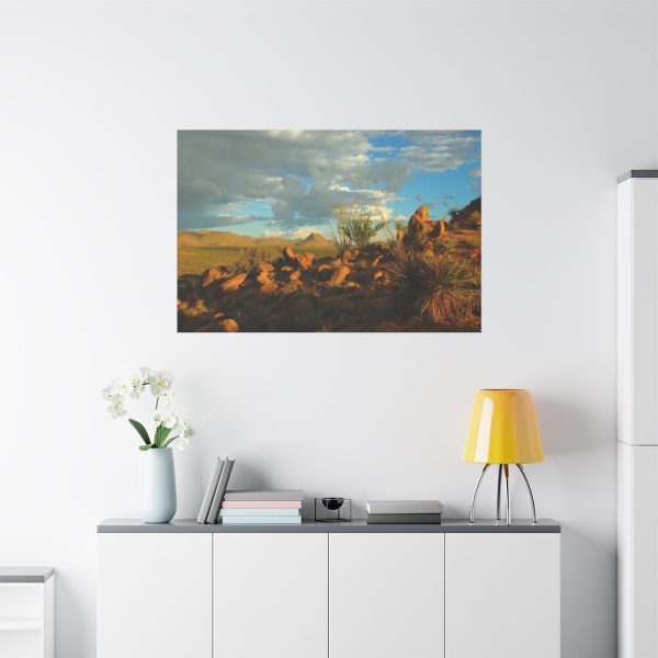 91638-324.jpg Sonoran Desert Standard Canvas