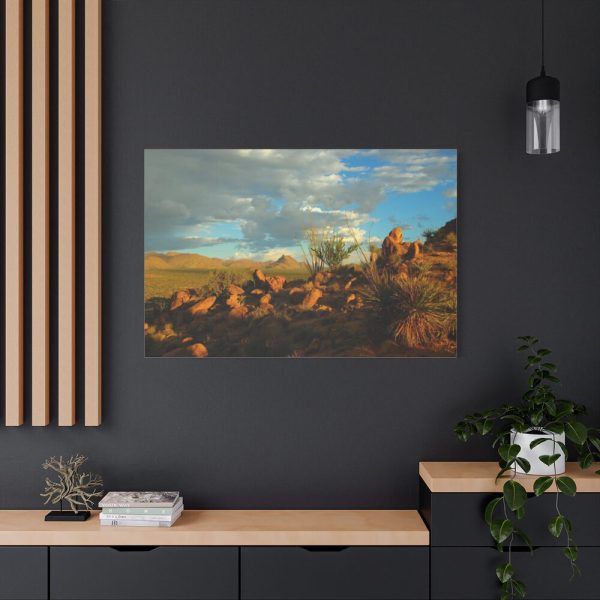 91638-325.jpg Sonoran Desert Standard Canvas