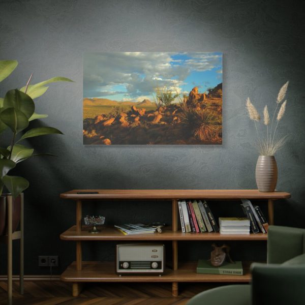 91638-326.jpg Sonoran Desert Standard Canvas