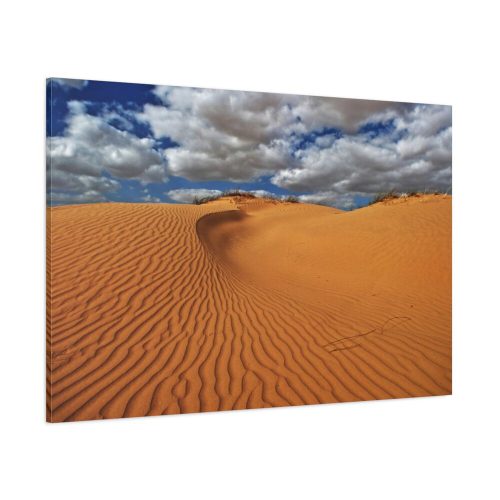 Ripples In The Sand Dunes Standard Canvas