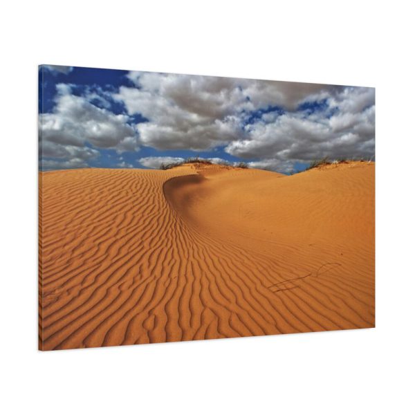 91638-327.jpg Ripples In The Sand Dunes Standard Canvas