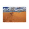 91638-328.jpg Ripples In The Sand Dunes Standard Canvas