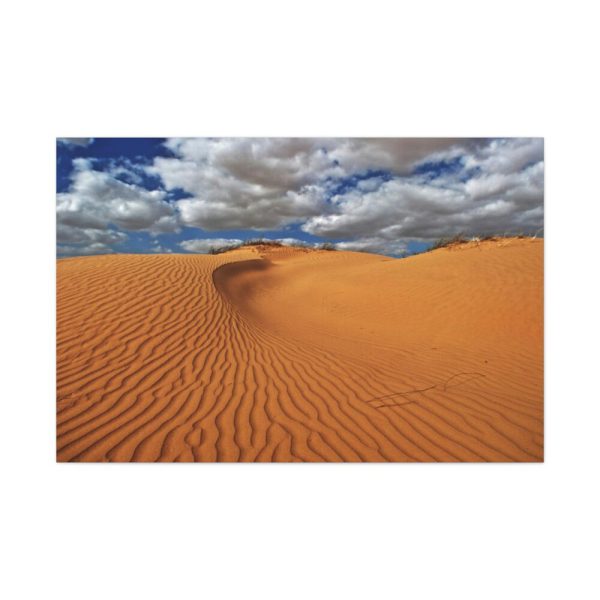 91638-328.jpg Ripples In The Sand Dunes Standard Canvas