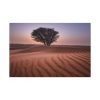 91638-348.jpg Trees in the Desert Standard Canvas