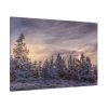91638-372.jpg Way in Jesenik Mountain Standard Canvas