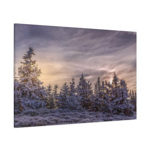 Way in Jesenik Mountain Standard Canvas