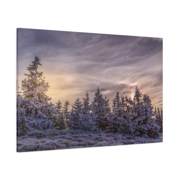 91638-372.jpg Way in Jesenik Mountain Standard Canvas