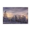 91638-373.jpg Way in Jesenik Mountain Standard Canvas