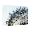91638-427.jpg Dandelion Bloom Wildflower Nature Standard Canvas