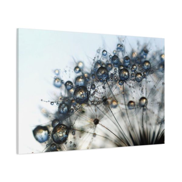 91638-427.jpg Dandelion Bloom Wildflower Nature Standard Canvas