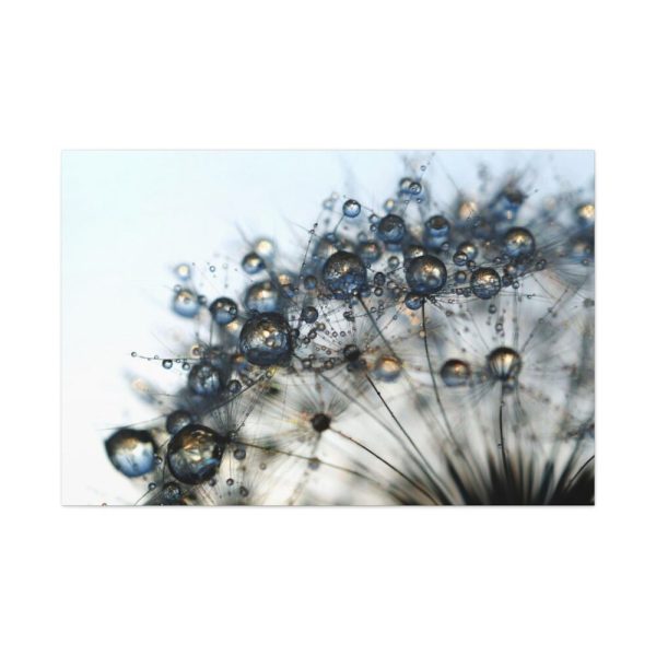 91638-428.jpg Dandelion Bloom Wildflower Nature Standard Canvas