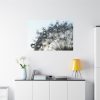 91638-429.jpg Dandelion Bloom Wildflower Nature Standard Canvas