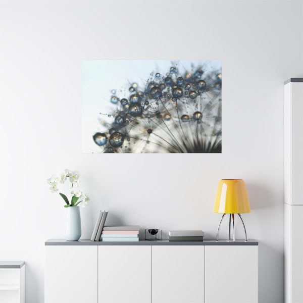 91638-429.jpg Dandelion Bloom Wildflower Nature Standard Canvas
