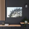 91638-430.jpg Dandelion Bloom Wildflower Nature Standard Canvas