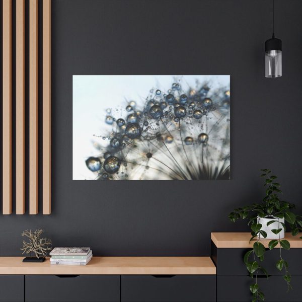 91638-430.jpg Dandelion Bloom Wildflower Nature Standard Canvas