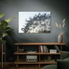 91638-431.jpg Dandelion Bloom Wildflower Nature Standard Canvas