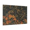 91638-5.jpg Autumnal Woods Drone View Framed Canvas