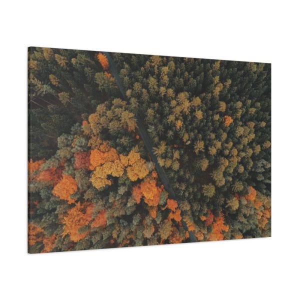 91638-5.jpg Autumnal Woods Drone View Framed Canvas