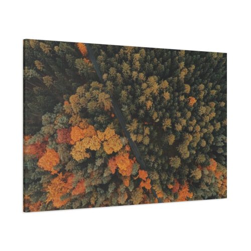 91638.jpg Autumnal Woods Drone View Standard Canvas
