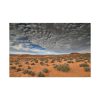 91638-56.jpg Clouds Drift over the Arizona Desert Standard Canvas