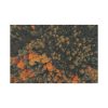 91638-6.jpg Autumnal Woods Drone View Framed Canvas