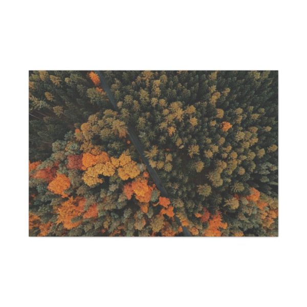 91638-6.jpg Autumnal Woods Drone View Framed Canvas