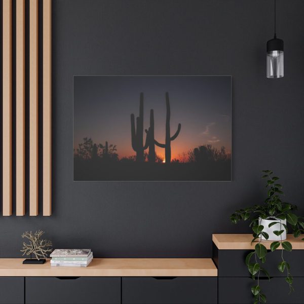 91638-68.jpg Saguaro Cacti at Sunset in the Arizona Desert Standard Canvas