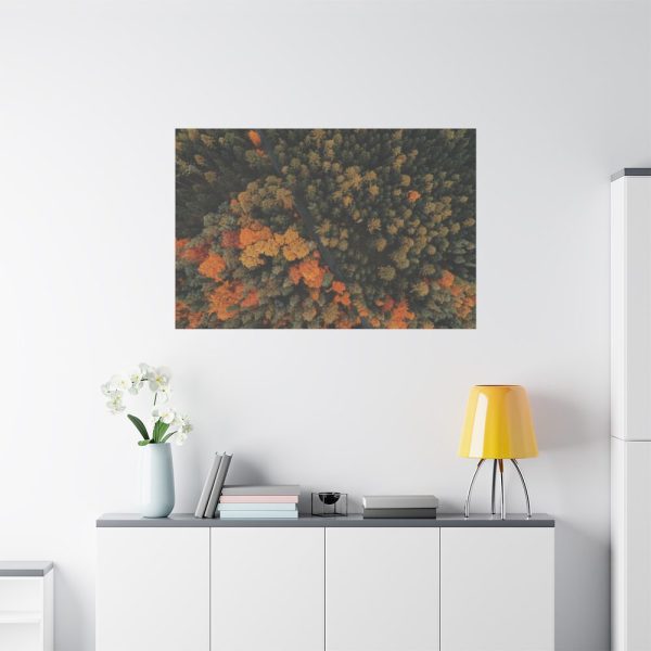 91638-7.jpg Autumnal Woods Drone View Framed Canvas