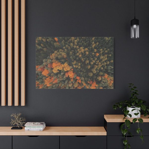 91638-8.jpg Autumnal Woods Drone View Framed Canvas