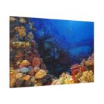 Ocean Life Standard Canvas