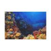 91638-96.jpg Ocean Life Standard Canvas