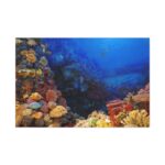Ocean Life Standard Canvas - Image 2