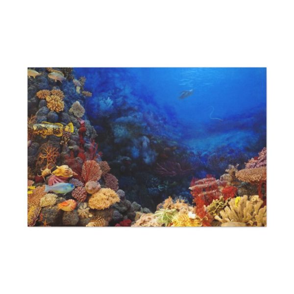 91638-96.jpg Ocean Life Standard Canvas