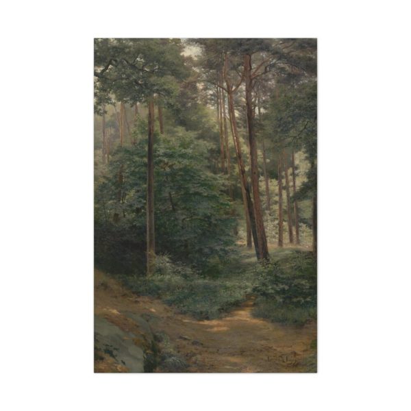 91655-1.jpg Forest by Lajos Csordák Standard Canvas