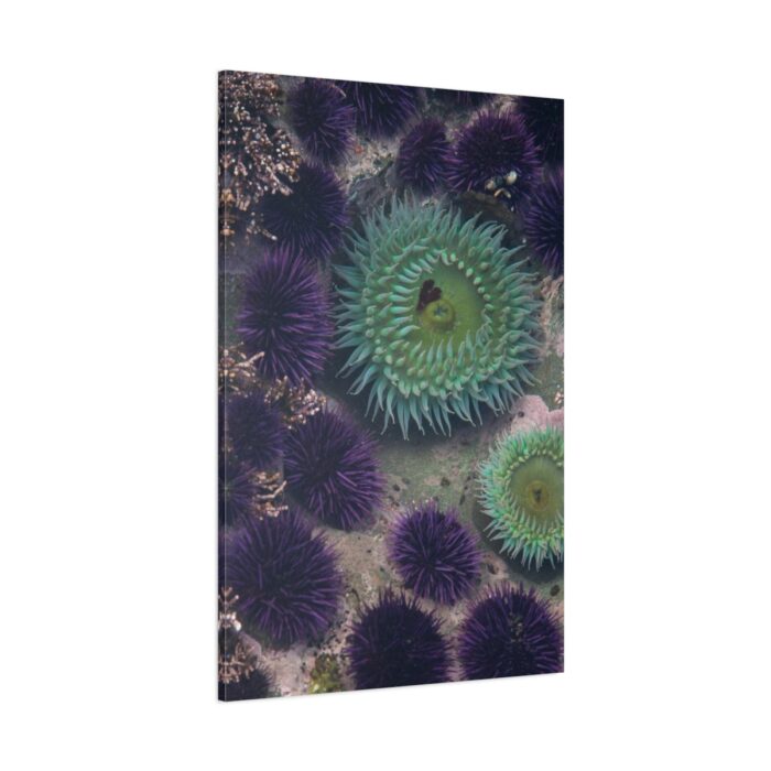 Underwater World Standard Canvas - Image 1