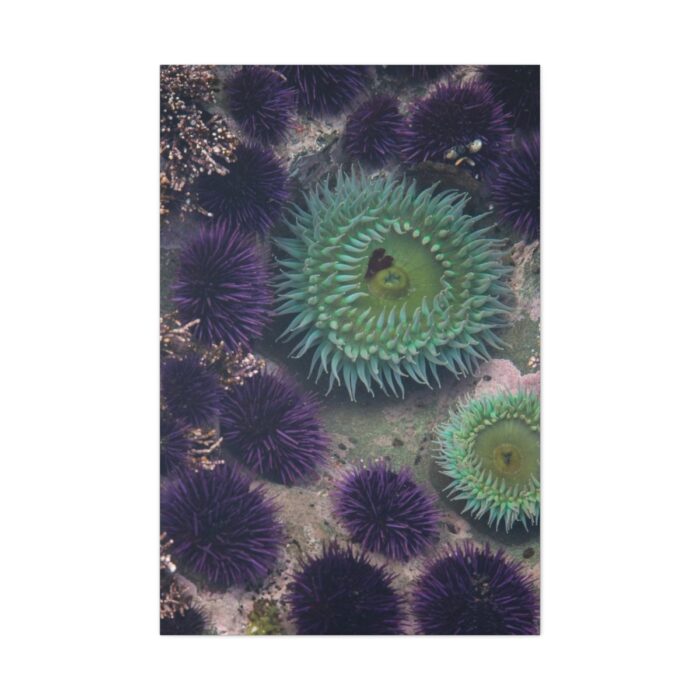 Underwater World Standard Canvas - Image 2