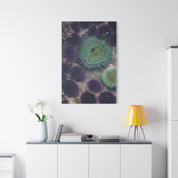 91655-12.jpg Underwater World Standard Canvas